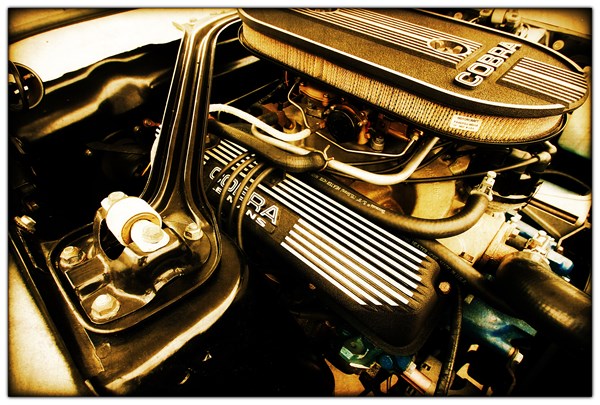 Two '68 Shelby GT500's up for Bids