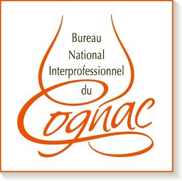 logo BNIC pantones ombre