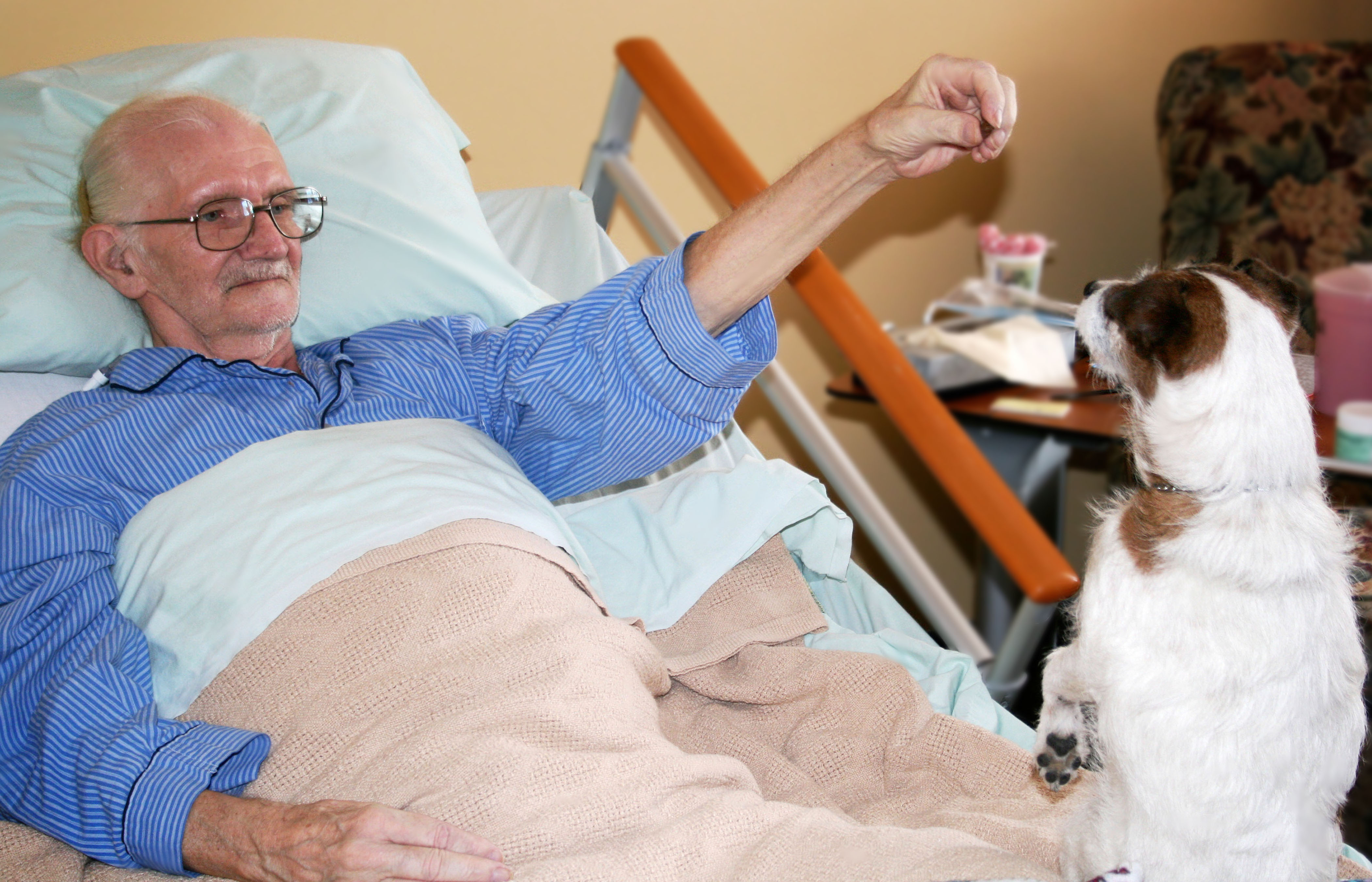 Pet Therapy_Patient with Dog