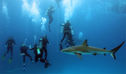 Screen Shot 2014-08-11 at 3.35.50 PM