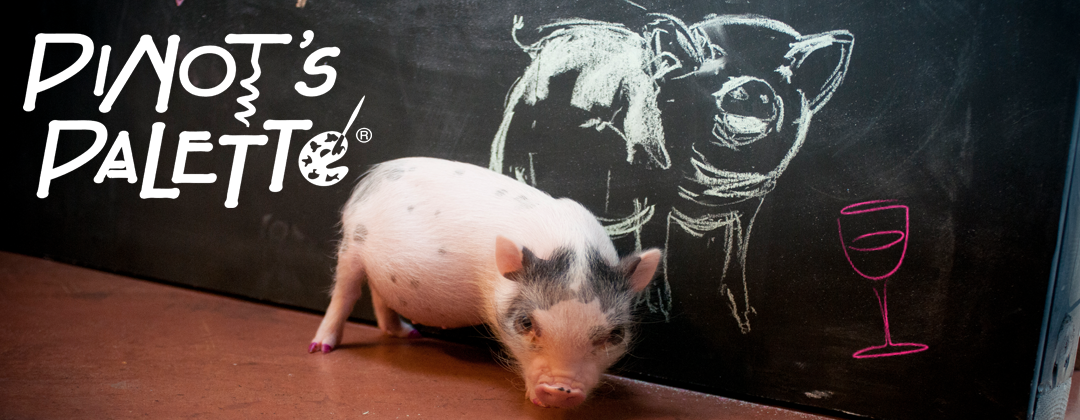 Pinot pig