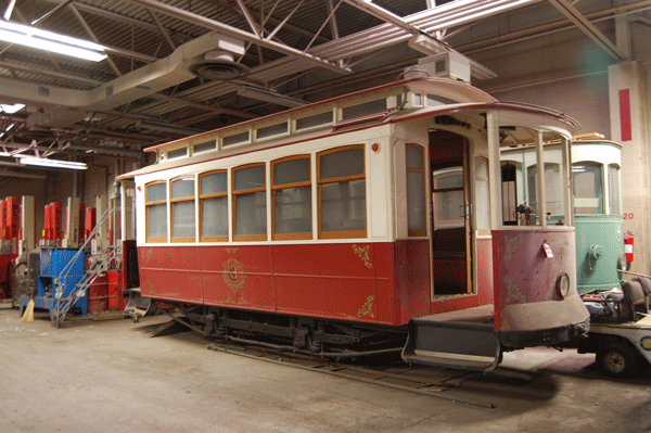Yellow-Trucks-Lined-UP
