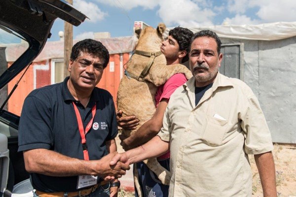 VIER PFOTEN_2015-07-03_039