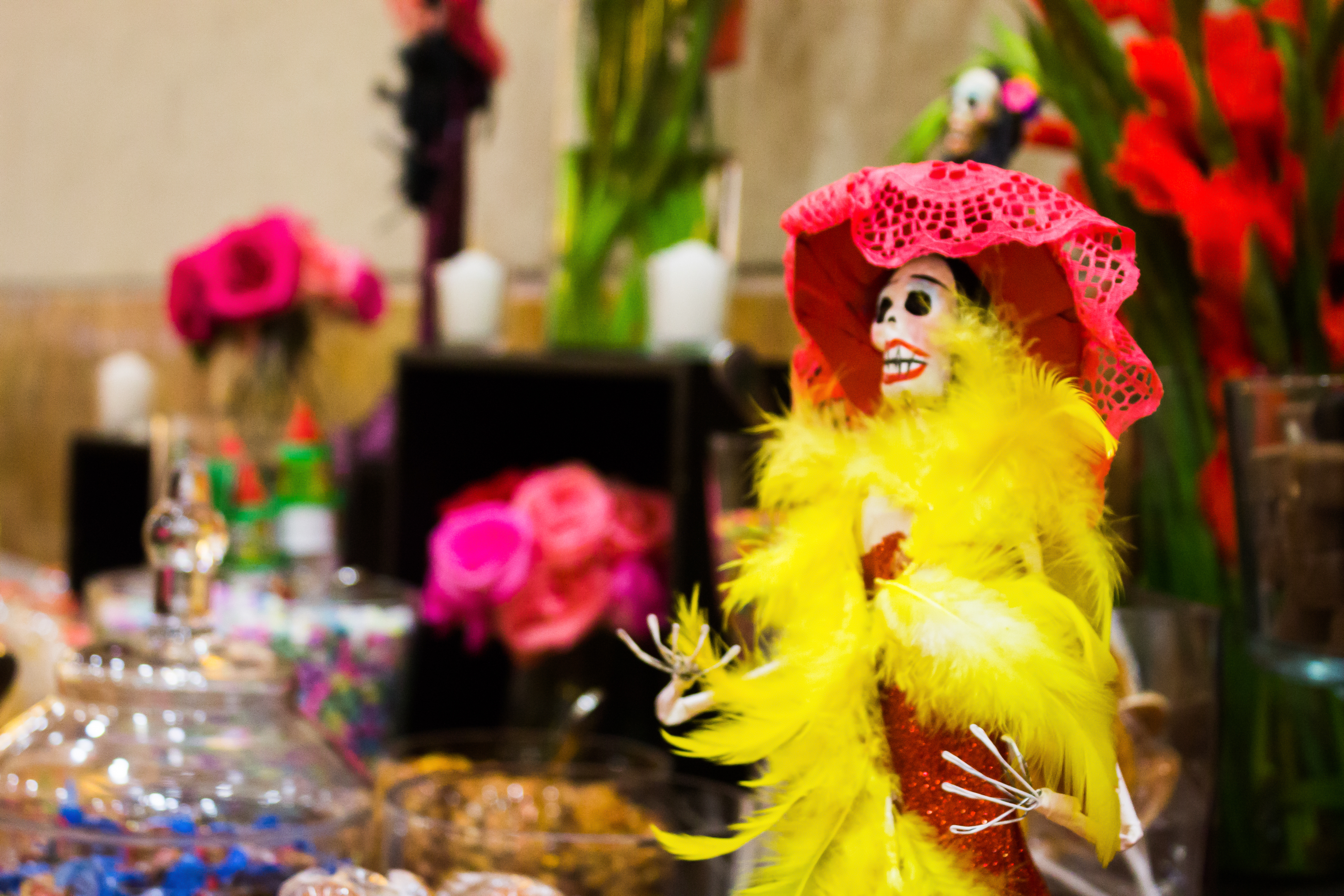 18072015-IMG_6942 (1)