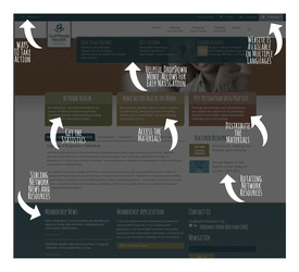 SMHN Website Launch FrontPage