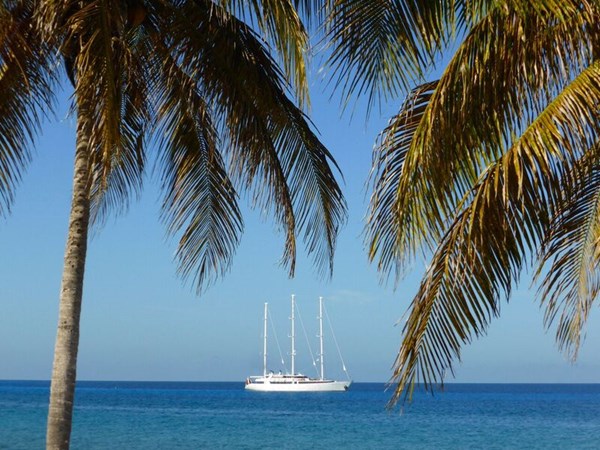 cuba-cruise-panorama