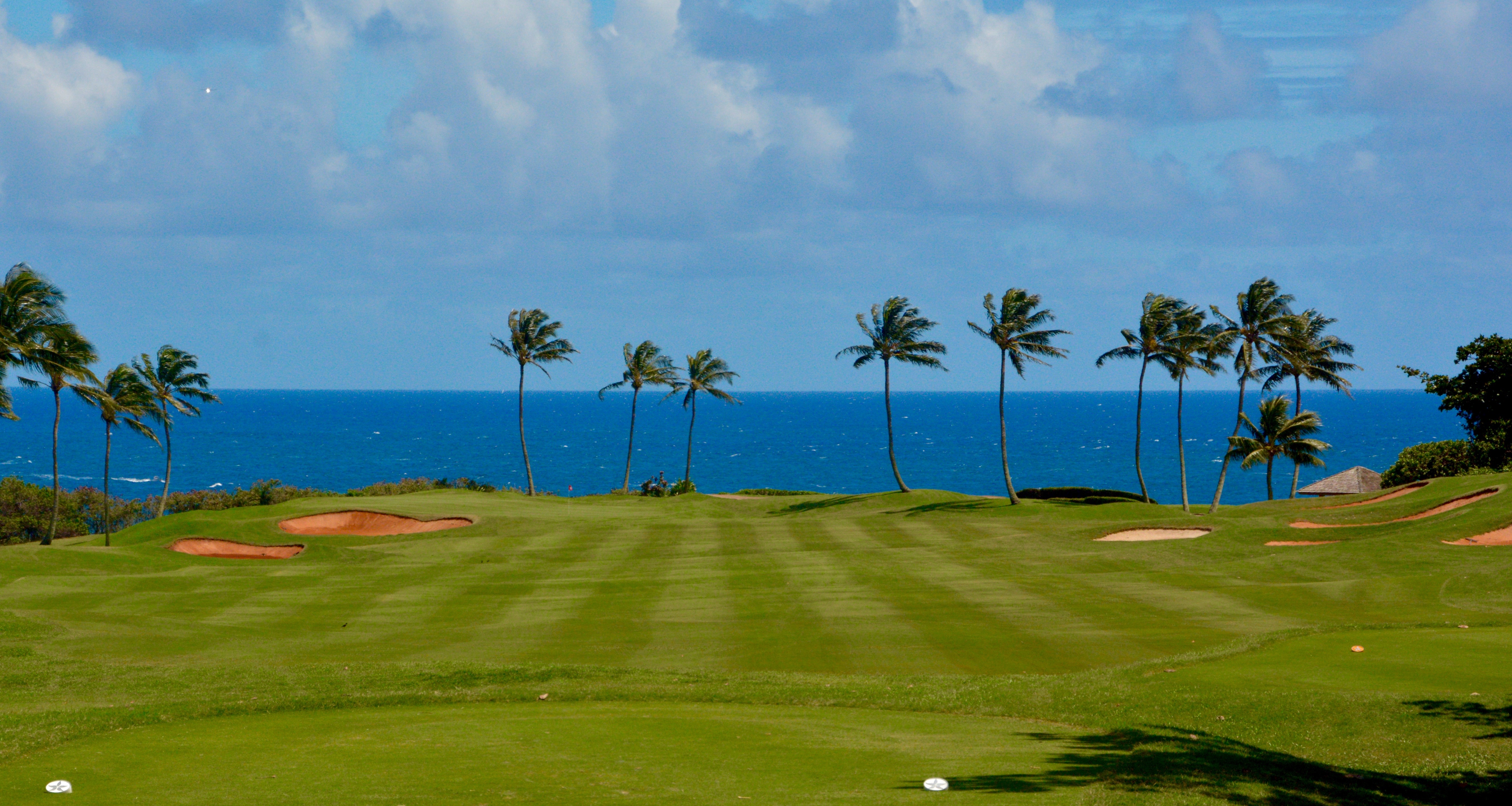 26838860974_62eaa884bf_o (2)