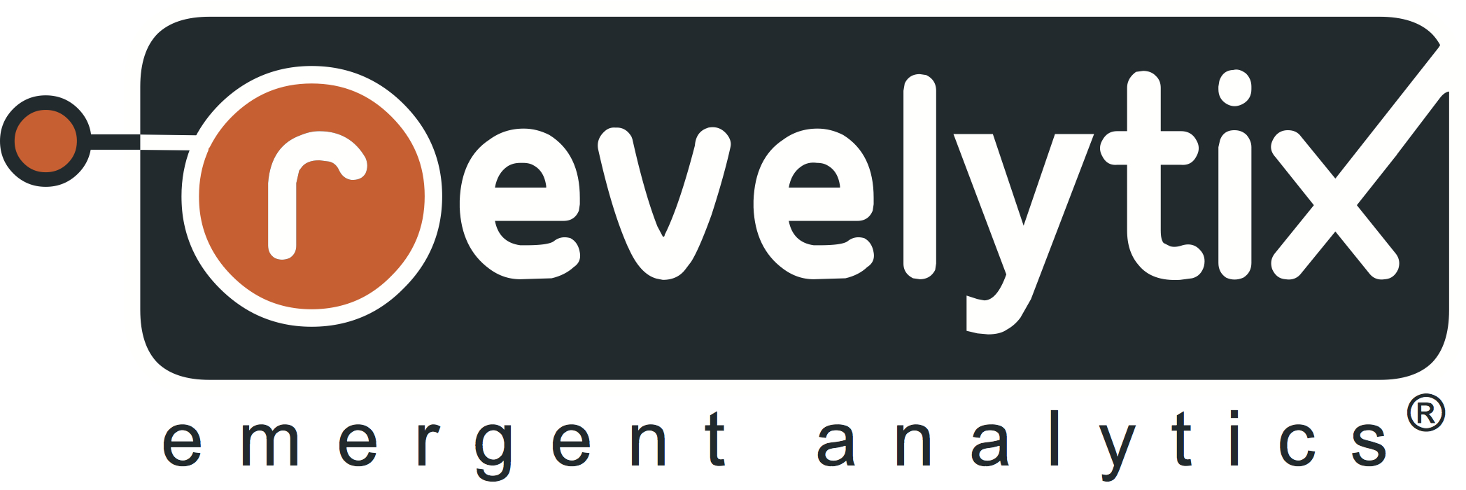 Revelytix